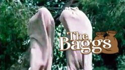 The Baggs
